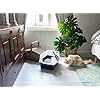 Iris Ohyama, Cat litter tray with high sides, no litter spill, removable high rim, entrance height: 15 cm, scoop…