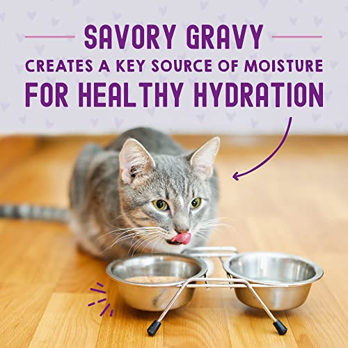STELLA & CHEWY’S CARNIVORE CRAVINGS MORSELS & GRAVY CHICKEN & SALMON RECIPE WET CAT FOOD POUCHES – (2.8 OUNCE POUCH, CASE OF 12)