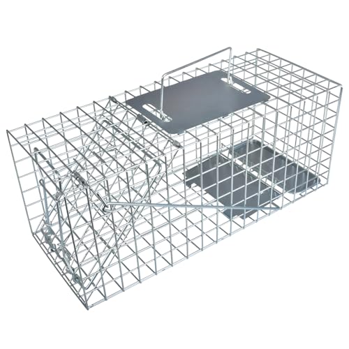 Humane Live Squirrel Cage Trap