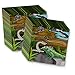 Reptile Lizard Snake Birthday Party Supplies Set Plates Napkins Cups Tableware Kit for 16