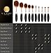 Professional Makeup Brush Set - 10 Brushes