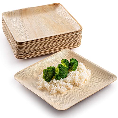 brheez Bamboo Plates made from Palm Leaf 25 Party Plates 10 Inch