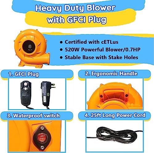 Causeair Inflatable Water Slide with Bounce House,Dolphin Styling,Splashing Pool,Double Water Cannon,Climbing Wall,Heavy Duty GFCI Blower,Inflatable Water Park Slide for Kids Backyard Summer