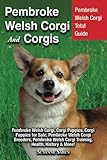Pembroke Welsh Corgi And Corgis: Pembroke Welsh Corgi Total Guide Pembroke Welsh Corgi, Corgi Puppie by Susanne Saben
