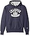 Champion Men's Heritage Fleece Pullover Hoodie, Anchor Slate/Shield Arch, 2X-Large