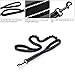 Beker Bungee Dog Leash 2 Handles,Elastic Heavy Duty Leash with Soft Padded Handles for Medium/Large Dogs,Best for Walking Training(Leash-4 to 6 Feet)