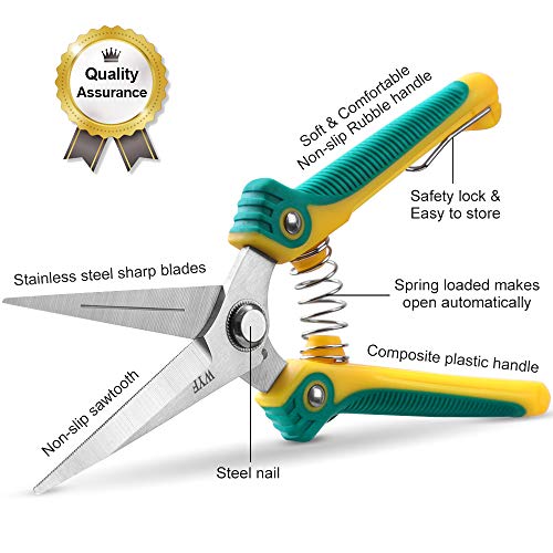 WYF 8.1″Gardening Hand Pruner Pruning Shear with Straight Stainless Steel Blades, Ultra Sharp Garden Scissors for Flowers, Harvesting Fruits & Vegetables,Trimming Plants (Green) - Thumbnail 2
