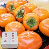 和歌山の富有柿の通販（生柿） 約4kg（16～20玉前後）