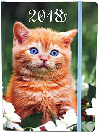 2018 Weekly By Day Planner Calendar Journal, 8.25 X 6 Inches, Laminated Cover (Kitten)