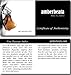 Genuine Baltic Amber Teething Necklace for Baby - Multi Color Beads