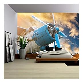 Plane with Propeller on Beautiful Bright Sunset Sky Background - Removable Wall Mural | Self-Adhesive Large Wallpaper - 66x96 inches
