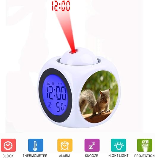 FDC Braun Squirrel - Despertador Digital con Pantalla LCD y ...