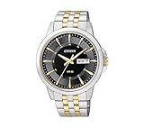 Citizen Men's Two-Tone Stainless Steel Watch