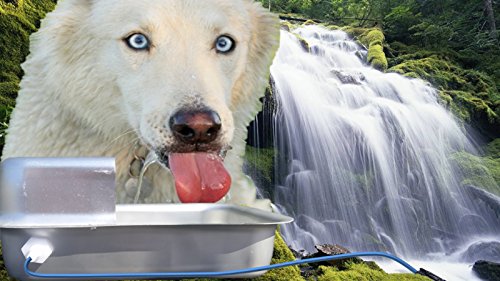Automatic Self Filling Pet Waterer Bowl Connects To Garden Hose