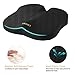 LANGRIA Seat Cushion for Office Chair Car Coccyx Cushion Memory Foam Orthopedic Pillow for Back, Tailbone, Sciatica Pain Relief, Anti-Slip Bottom, Built-in Handle, Ventilated Hollow Gap, Black