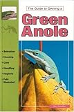 The Guide to Owning a Green Anole by Ray Hunziker