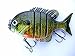 Soljer Blue Gill Sun Fish Panfish Talipia for Bass Fishing Lure (Blue Gill)