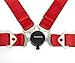 Tanaka Racing Style 4 point Harness For Powersports - PAIR (Red)