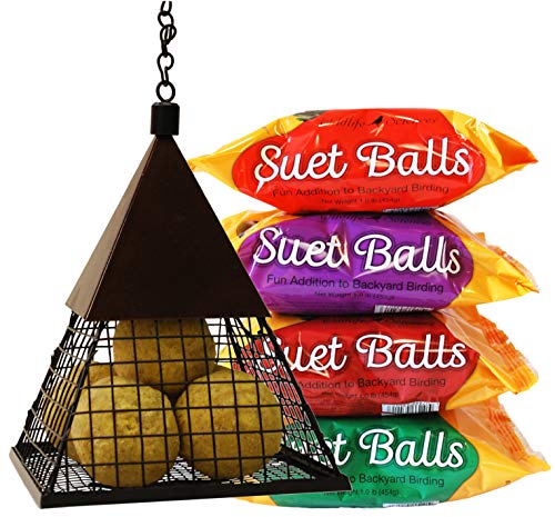 Wildlife Sciences Suet Ball Feeder and Suet Ball Variety Combo Pack | Geo Pyramid Feeder with 16 Suet Balls - Thumbnail 3