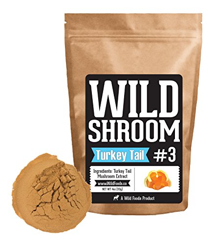 Turkey tail mushroom extract by wild foods - trametes v…