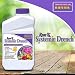 Bonide (BND963) - Rose Rx Systemic Drench Concentrate for Disease and Insect Control, Insecticide (1 qt.) primary
