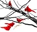 Cornucopia Brands Clip-On Realistic Feathered Red Cardinals (6 Pack), 3