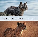 Cats & Lions by
