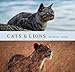 Cats & Lions by