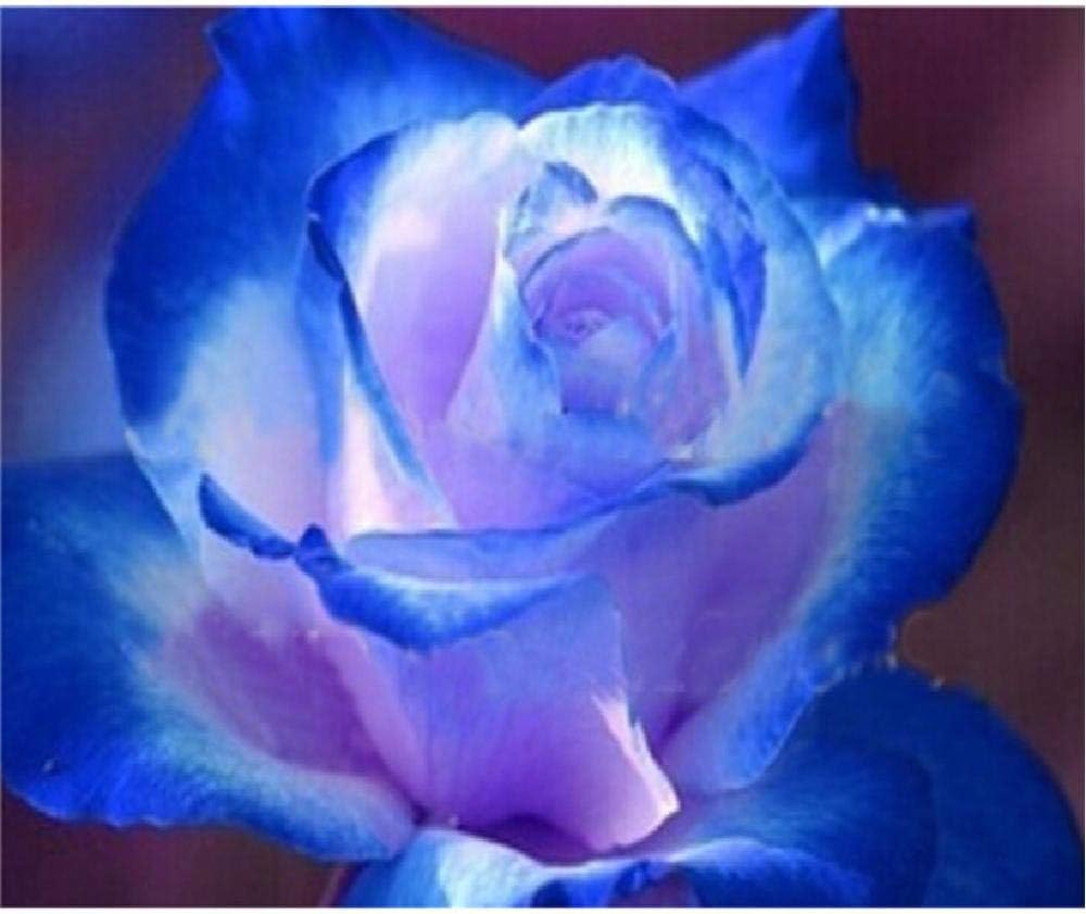 Adult Puzzle 1000 Pieces Blue Rose, Roses, Flower Made of Wood Board Will Not Be Deformed