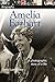 DK Biography: Amelia Earhart: A Photographic Story of a Life