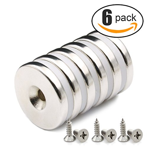 DIYMAG 6 Pack 1.26â€D x 0.2â€H Neodymium Disc Countersunk Hole Magnets. Strong, Permanent, Rare Earth Magnets,With 6 screws.