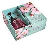 Mystérieuses orchidées by