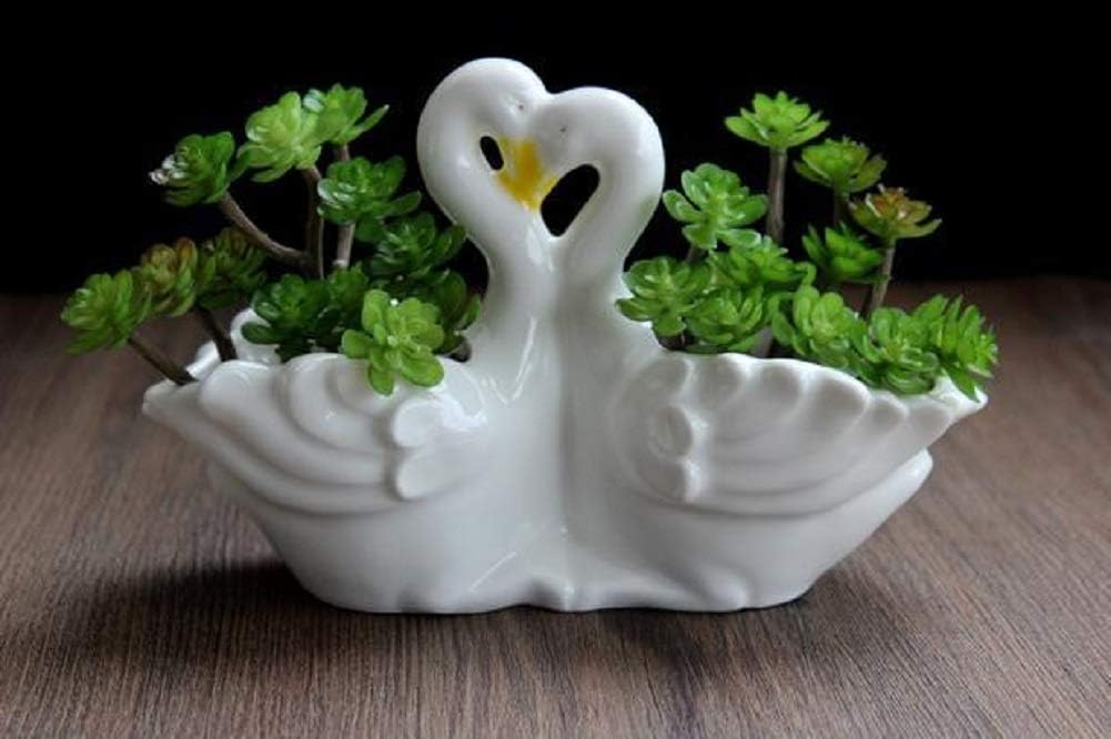Funnuf Cute Animal White Ceramic Succulent Cactus Flower Planter for Home Garden Office Desktop, 1pcs, swan Couple (Plants Not Included)