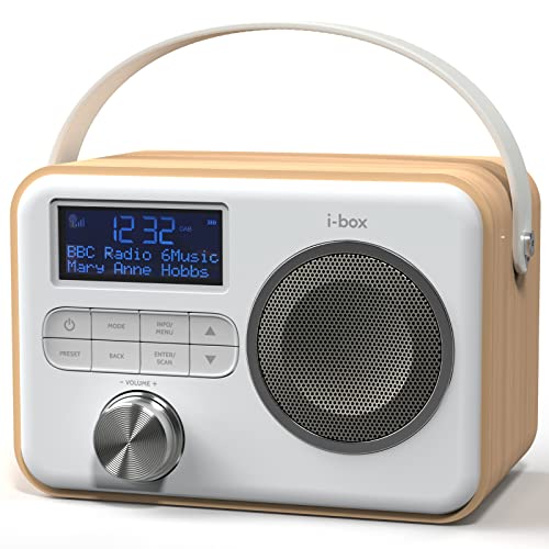 DAB Radio Portable, Bluetooth Speaker, DAB Plus/DAB Radio, FM Radio, Mains Powered or Battery Powered, Portable Bluetooth Speaker, USB Charging for 10 Hours Playback