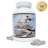 Best Nitric Oxide Booster On The Market! White Stallion Nitric Oxide 90 Capsules Supplement with L-Arginine - Improve Muscle Growth, Increase Strength - 30 Day Money Back Guarantee!