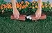Argee RG840S Let's Light It 40-Foot Decorative Plastic Brick Edging with 6 Built-In Solar Lights, Terra Cotta