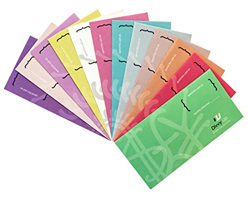 Budgeting Envelopes for Your Cash Envelope System in 12 Stylish Cardstock Colors by Divvy Up