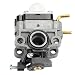 Hilom Carburetor Carb for Ryobi RY252CS RY253SS RY251PH RY254BC Models 2 Cycle 25cc Gas String Trimmer Replace # 75306258A