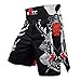 SOTF MMA Shorts Boxing Muay Thai Boxing Trunks Tiger Muay Thai Kickboxing Fight Wear Guan Yu China's Wind MMA