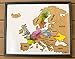 JetsetterMaps Scratch Your Travels Europe Region Map 16x20 in Poster