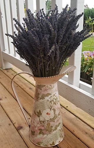 Findlavender - Vase With Dried Lavender - 20" - 24" Long - Can Be Used for Any Ocassion - Perfect to decorate your home!