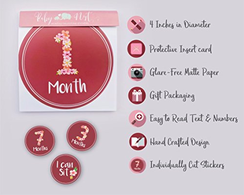 Monthly Milestone Stickers by Baby Nest - Delicate & Luxurious Flower Bouquet for Newborns & Up, Celebrate 0-12 Months First Year Achievements | Perfect Shower Gift (16 Pack)