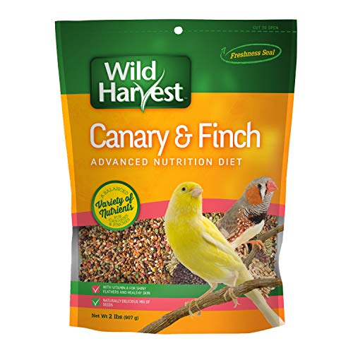 Wild Harvest Advanced Nutrition Canary Food