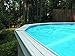 Thermo-Tex 2831818 18' Round Swimming Pool Solar Cover, 18' x 18', Blue