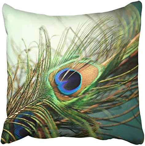 Accrocn Pillowcases Teal Peacock Feather Decorative Throw Pillow Covers Protectors Cases Cushion Cover Case Couch Sofa Size 18x18 inches(45x45cm) One Side print