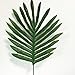 Owncons Package of 25 Silk Palm Leaves