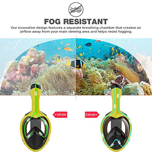 image for Poppin Kicks Full Face Snorkel Mask for Adult Youth and Kids | 180° P