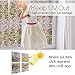 rabbitgoo Frosted Window Film Non-Adhesive Decorative Leaf Static Cling Privacy Glass Film, 17.5 x 78.7 inches (1.46 x 6.56 feet), Brown