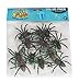 U.S. Toy Painted Spiders : Package of 12, Black