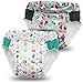 Kanga Care Lil Learnerz Reusable Toilet Training Pants (Medium - Clyde & Platinum), (KRLLNZ_MD-M405)